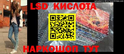 PSILOCYBIN Ирбит
