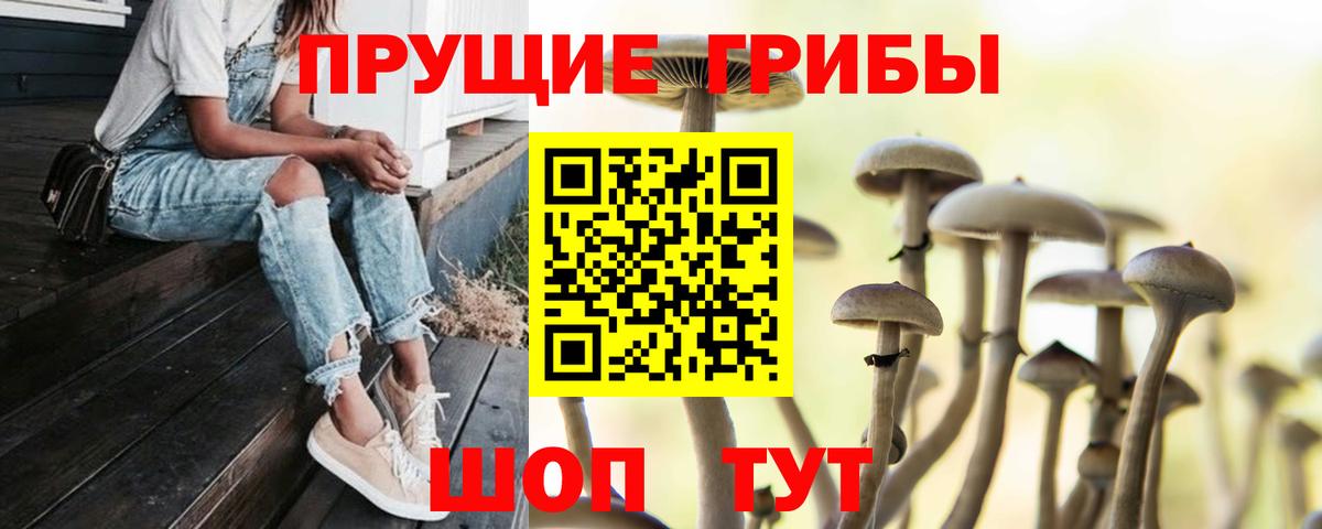 Галлюциногенные грибы Psilocybe  где можно купить наркотик  Лыткарино  Вход с VPN 